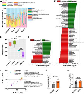 Sex differences and testosterone interfere with the structure of the gut microbiota through the bile acid signaling pathway